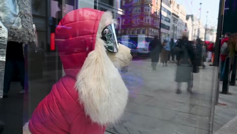 Perro-Con-Gafas-De-Sol-Puestas,-Oxford-Street,-Londres,-Reino-Unido