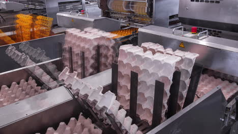 Time-lapse-of-machine-separating-egg-cartons-inside-a-poultry-farming-facility