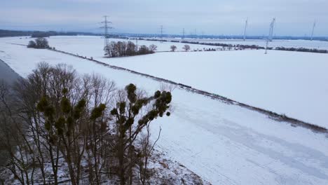 Winter-Schnee-Fluss-Holz-Wald-Bewölkter-Himmel-Deutschland