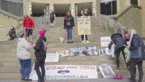 XL-Bully-dog-owners-protesting-at-UK-Government-ban