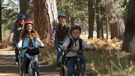 Family-riding-mountain-bikes-through-a-forest-cycle-past