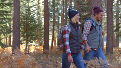 Slow-motion-panning-shot-of-couple--walking-past-in-a-forest