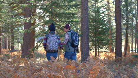 Panning-shot-of-couple-walking-away-on-a-forest-trail
