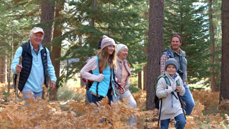 Panning-shot-of-multi-generation-family-walking-in-a-forest
