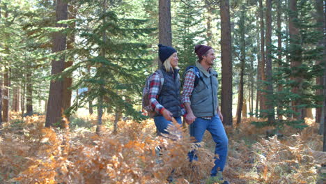 Panning-shot-of-couple-walking-on-a-sunlit-forest-trail