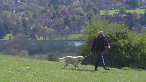 Mature-Man-Takes-Dog-For-Walk-In-Countryside-Shot-On-R3D