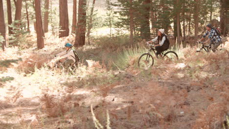 Parents-and-son-cycling-together-in-a-forest,-side-view