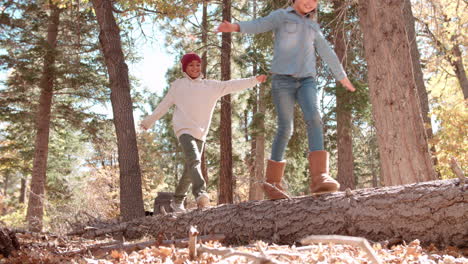 Drei-Kinder-Balancieren-Auf-Einem-Umgestürzten-Baum-Im-Wald