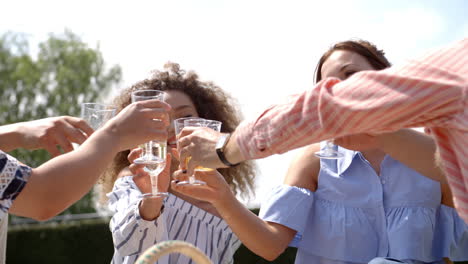 Young-adult-friends-making-a-toast-at-a-picnic,-close-up