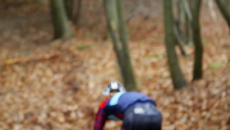 Cross-country-cyclist-making-descent-in-a-forest,-back-view,-shot-on-R3D