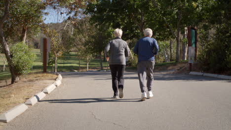 Rückansicht-Eines-älteren-Paares,-Das-Mit-Einem-Lauf-Durch-Den-Park-Trainiert