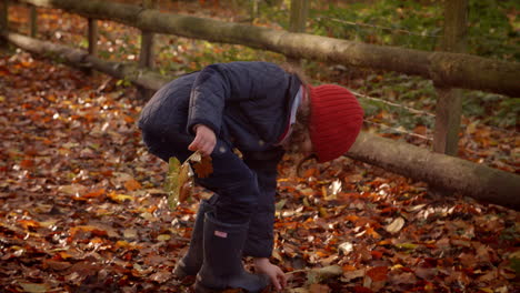 Junges-Mädchen-Spielt-Mit-Blättern-Auf-Einem-Spaziergang-In-Der-Herbstlichen-Landschaft