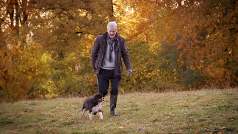 Älterer-Mann-Geht-Mit-Hund-In-Der-Herbstlandschaft-Spazieren