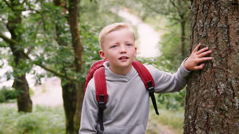 Un-Niño-Caminando-Por-Un-Sendero-Entre-árboles-En-Un-Bosque,-De-Cerca,-Lake-District,-Reino-Unido