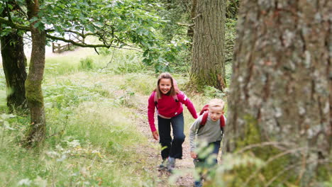 Two-children-walking-along-a-trail-in-a-forest-amongst-greenery,-handheld,-Lake-District,-UK