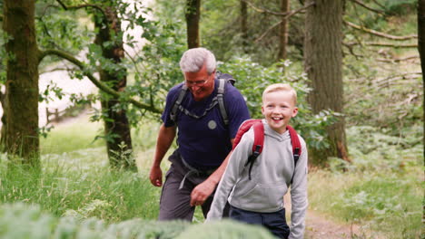 Grandfather-and-grandson-hiking-in-a-forest-during-a-family-camping-adventure,-Lake-District,-UK