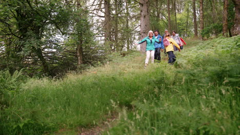Multi-generation-family-walking-down-a-trail-in-a-forest-during-a-family-camping-adventure,-Lake-District,-UK