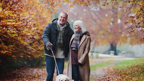 Glückliches-älteres-Ehepaar-Im-Ruhestand,-Das-Gemeinsam-Mit-Dem-Hund-Den-Weg-Entlang-Der-Herbstlichen-Landschaft-Spazieren-Geht