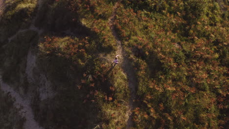 Drone-Shot-Of-Young-Girl-On-Beach-Vacation-Playing-In-Sand-Dunes