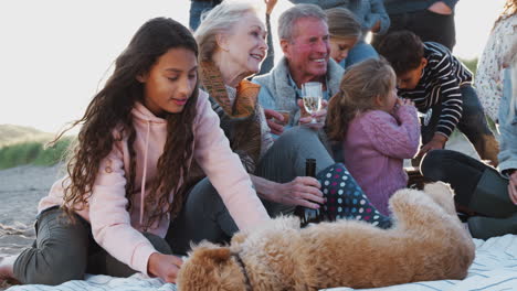 Familia-Multigeneracional-Con-Perro-En-Vacaciones-De-Invierno-En-La-Playa-Bebiendo-Y-Hablando