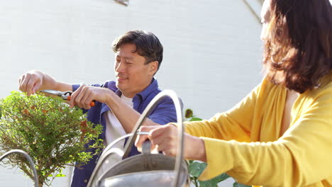 Mature-Asian-woman-waters-plants-in-summer-garden-using-watering-can-whilst-her-husband-prunes-shrubs-with-secateurs-with-focus-on-background--shot-in-slow-motion