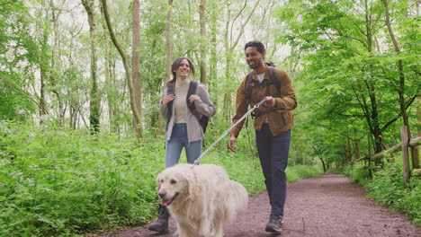 Young-couple-hiking-along-path-through-trees-in-countryside-with-pet-golden-retriever-dog-on-leash---shot-in-slow-motion