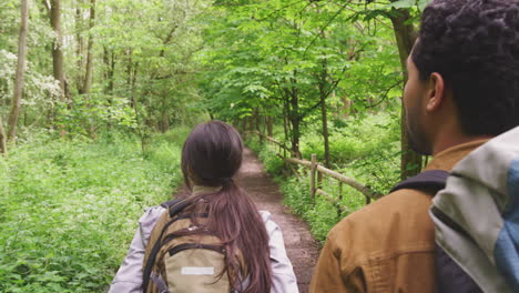 Over-the-shoulder-view-of-young-couple-hiking-along-path-through-trees-in-countryside---shot-in-slow-motion
