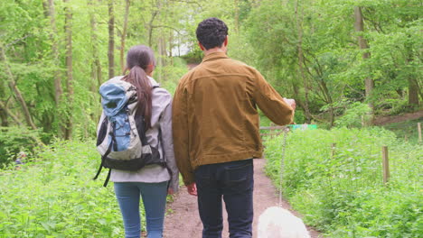 Close-up-rear-view-of-young-couple-holding-hands-as-they-hike-along-path-through-trees-in-countryside-with-pet-golden-retriever-dog-on-leash---shot-in-slow-motion