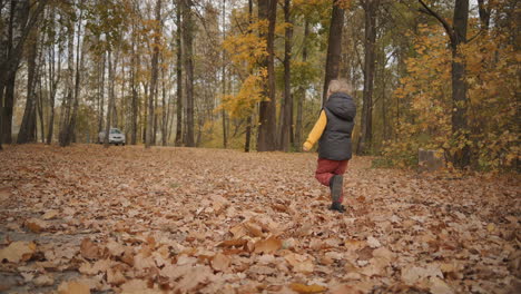 Un-Niño-Pequeño-Corre-En-El-Bosque-Moviéndose-Sobre-Follaje-Seco-En-El-Suelo-Tiempo-Feliz-El-Fin-De-Semana-En-La-Naturaleza-Descansando-En-El-Bosque-En-El-Día-De-Otoño