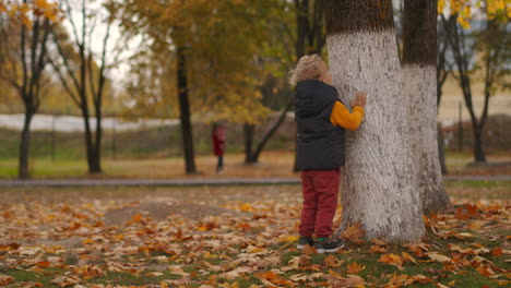 Der-Kleine-Junge-Geht-Am-Herbsttag-Im-Park-Spazieren-Und-Steht-Neben-Einem-Alten-Baum,-Der-Die-Malerische-Natur-Mit-Trockenem-Und-Vergilbtem-Gras-Und-Laub-Zeigt,-Wochenendspaziergänge-Der-Stadtbewohner