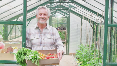 Portrait-Of-Proud-Smiling-Senior-Man-Holding-Box-Of-Home-Grown-Vegetables-In-Greenhouse