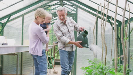 Grandparents-With-Baby-Grandson-Watering-Plants-In-Greenhouse-Together