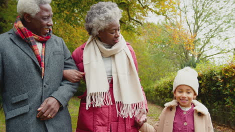 Lächelnde-Großeltern-Halten-Sich-An-Den-Händen-Und-Gehen-Gemeinsam-Mit-Ihren-Enkelkindern-Durch-Die-Herbstliche-Landschaft-–-Aufgenommen-In-Zeitlupe