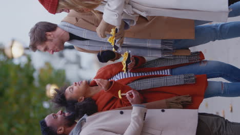 Vertical-video-of-friends-outdoors-wearing-coats-and-scarves-being-attacked-by-seagulls-as-they-eat-takeaway-fries-on-autumn-or-winter-trip-to-London---shot-in-slow-motion