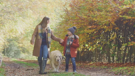 Mother-And-Son-Take-Pet-Golden-Retriever-Dog-For-Walk-On-Track-In-Autumn-Countryside-Holding-Hands