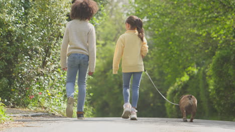 Vista-Trasera-De-Dos-Niños-Caminando-Mascota-Perro-Bulldog-Francés-A-Lo-Largo-De-La-Carretera-Rural