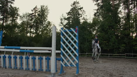 Una-Joven-Jinete-En-Un-Caballo-Bayo-Saltando-Por-Encima-De-Un-Obstáculo-En-Una-Competición-Deportiva-Ecuestre