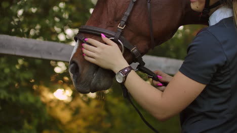 La-Chica-Disfruta-De-Su-Tiempo-Con-Un-Caballo-Antes-De-Entrenar.-Ella-Está-Acariciando-Al-Caballo-Y-Compartiendo-Su-Buen-Humor-Con-La-Amiga