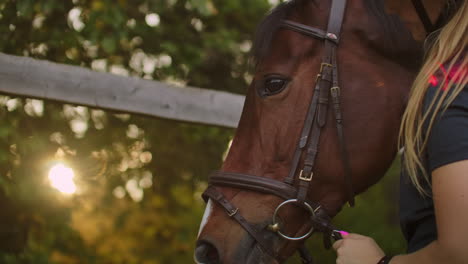 Horeswomen-is-checking-equipment-and-stroking-horse-before-training.-She-is-showing-her-care-about-friend