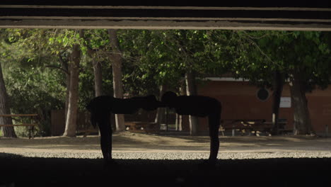 Stretching-before-training