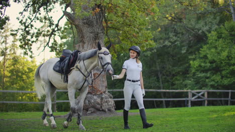 Female-is-walking-with-her-white-horse-before-professional-horse-racing.-It's-nice-walk-in-nature