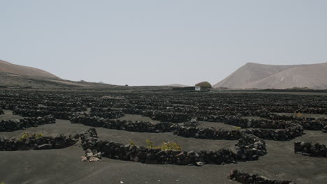 Escena-De-Lanzarote-Con-Viñedos-La-Geria-Islas-Canarias