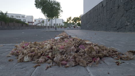 Calle-Con-Hojas-Secas-Y-Basura.