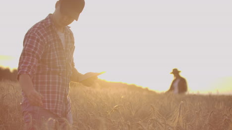 Agricultura-Inteligente-Utilizando-Tecnologías-Modernas-En-La-Agricultura.-Hombre-Agricultor-Agrónomo-Con-Tableta-Digital-En-Campo-De-Trigo-Usando-Aplicaciones-Y-Enfoque-Selectivo-En-Internet