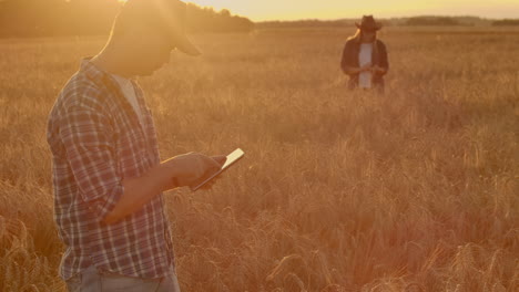 Smart-Farming-Mit-Modernen-Technologien-In-Der-Landwirtschaft:-Mann,-Agronom,-Bauer-Mit-Digitalem-Tablet-Computer-Im-Weizenfeld,-Mit-Apps-Und-Selektivem-Fokus-Im-Internet