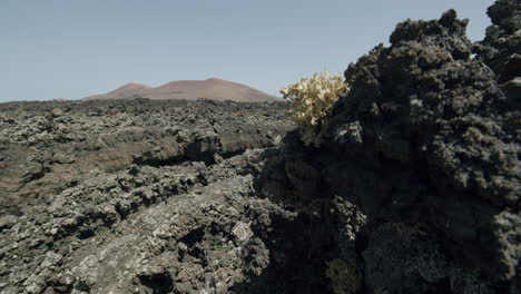 Paisaje-Gris-Y-Aburrido-Con-Rocas-De-Lava-Lanzarote-Islas-Canarias