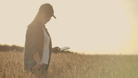 Junge-Bäuerin-Arbeitet-Bei-Sonnenuntergang-Mit-Tablet-Auf-Dem-Feld.-Die-Inhaberin-Eines-Kleinen-Geschäftskonzepts.