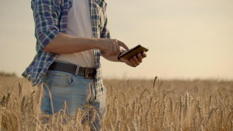 Joven-Agricultor-Sosteniendo-Tableta-En-Campo-De-Trigo