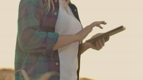 Junge-Bäuerin-Auf-Einem-Weizenfeld-Vor-Dem-Hintergrund-Des-Sonnenuntergangs.-Ein-Mädchen-Pflückt-Weizenähren-Und-Verwendet-Dann-Ein-Tablet.-Der-Landwirt-Bereitet-Sich-Auf-Die-Ernte-Vor