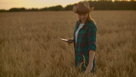 Close-up-of-a-woman-farmer-in-a-hat-and-a-plaid-shirt-touches-the-sprouts-and-seeds-of-rye-examines-and-enters-data-into-the-tablet-computer-is-in-the-field-at-sunset